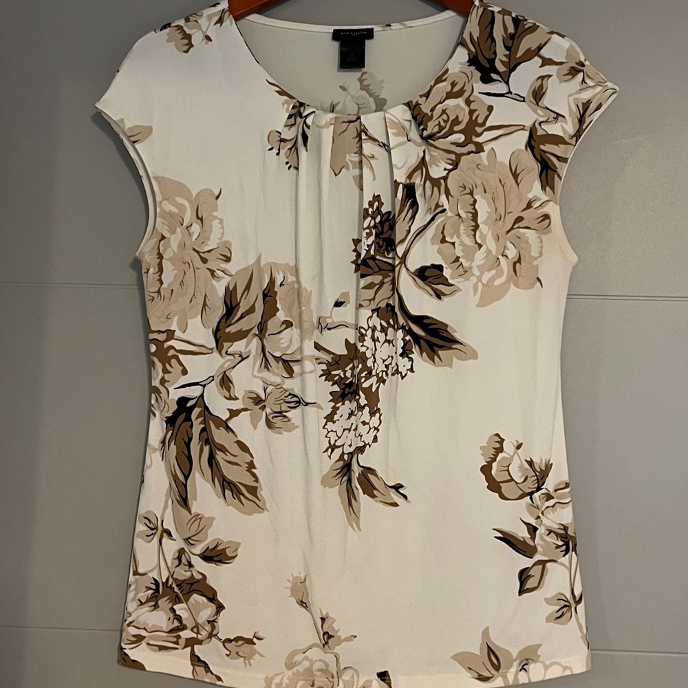 Ann Taylor Cream and Brown Fitted Cap Sleeve Blouse
